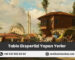 Tablo Ekspertizi Yapan Yerler